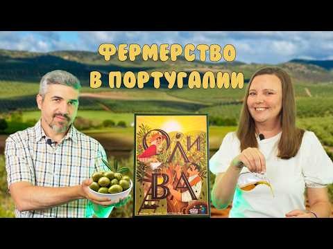 ОЛИВА (правила, летсплей, мнение)